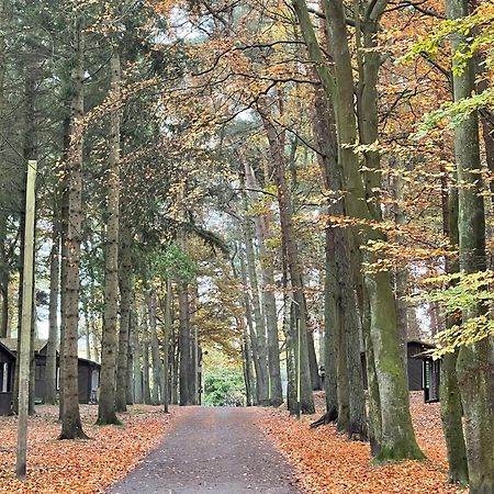 Feriendorf Fynnus Dranske Buitenkant foto